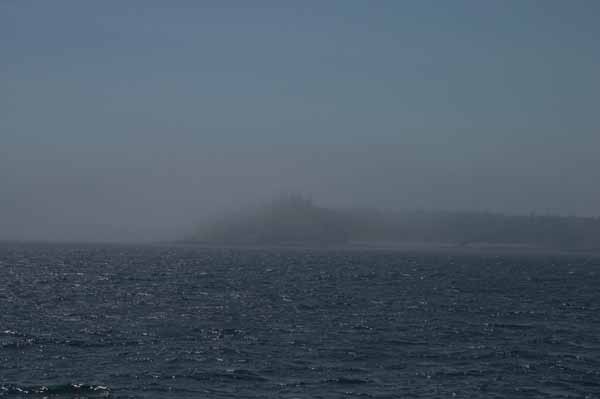CRW_8320