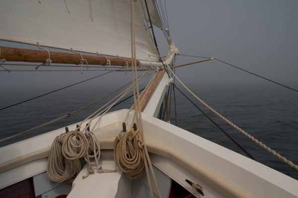 CRW_8323