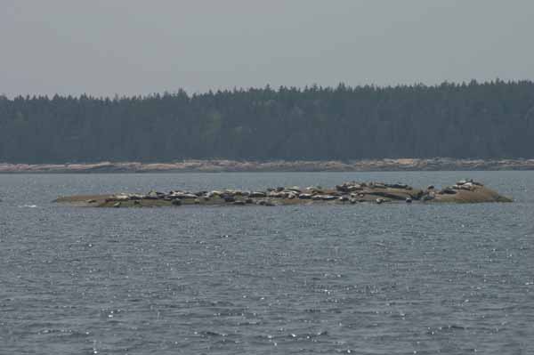 CRW_8374
