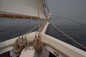 CRW_8323