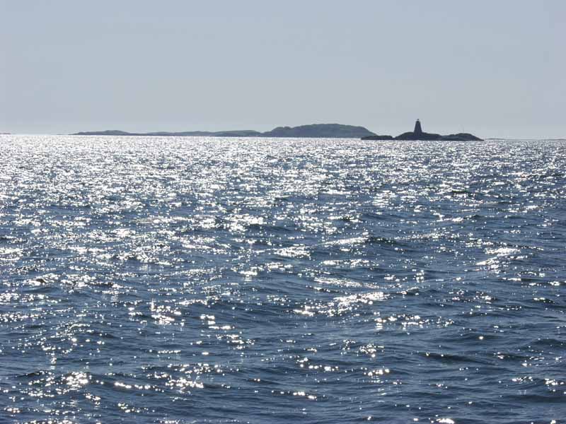 P6161661