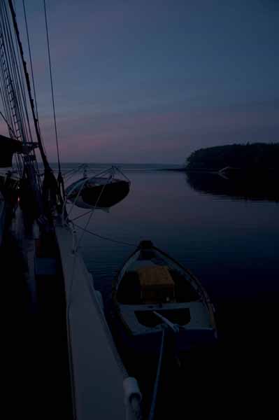 CRW_8445