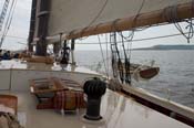 CRW_8401