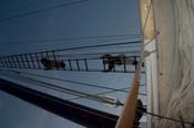CRW_8425