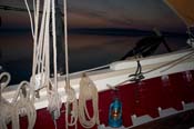 CRW_8432