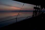 CRW_8435