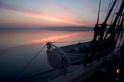 CRW_8442