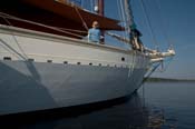 CRW_8467