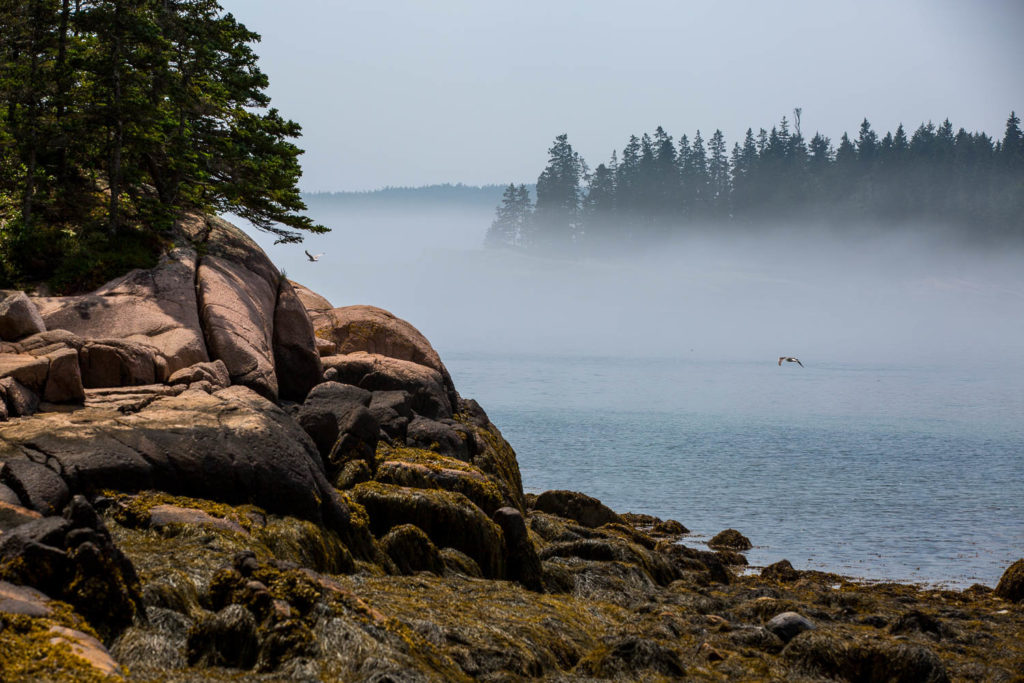 Gott’s Island Beach and Fog – Jim Dugan